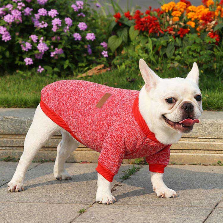 沸騰新柄追加 犬 犬の服 服 犬服 シャツ 長袖 小型犬 中型犬 ドッグウェア フレンチブルドッグ 無地 シンプル おしゃれ カジュアル かわいい ペット服 お出掛け お散歩 カラフルquma