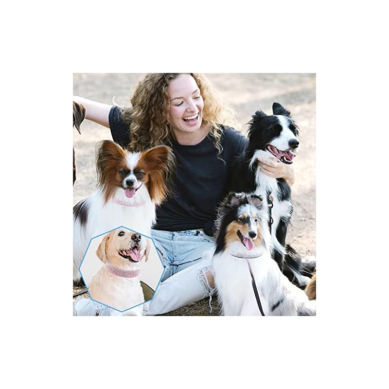 【即納】Kalevel 犬の首輪 ラインストーン 散歩 写真 日常着 特別の日用グッズ 犬猫を飾る ビロード製首輪 繊細な感触 快適 安全 柔らかい 綺麗 キラキラ ペット 犬用品 リード ハーネス