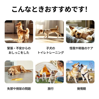 <a href="https://www.qoo10.jp/gmkt.inc/Search/brand.aspx?brandno=109151" target="_blank" class="title_brand" id="btn_brand" title="Honeycare">Honeycare</a>ペットの紙おむつ 男の子用 50枚入り 犬用 オムツ マナーウェア 犬用 高齢犬用 紙オムツ 犬 紙おむつ 旅行・介護・トレーニング対応 SSS/SS/S/M/Lサイズ選べる 使い捨て 清潔・快適設計