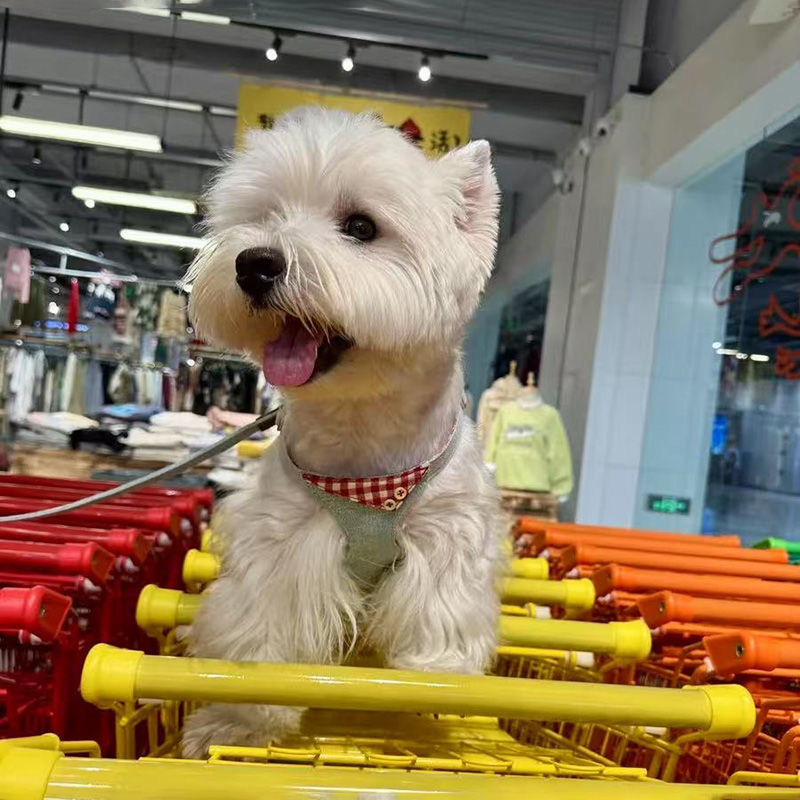犬牽引紐ベスト式ドッグラン犬紐調節小型犬胸帯テディかわいいペット用品