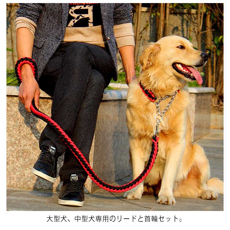 送料無料 リード 首輪 2点セット 犬 首輪セット リードセット 小型犬 中型犬 大型犬 太く 頑丈 丈夫 犬用リード 極太 編み紐 噛み癖 防止 ドッググッズ 散歩 お出かけ しつけ ペット ペット