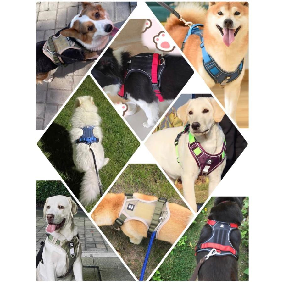 犬　犬用　ハーネス　おしゃれ　丈夫　ドッグハーネス　小型犬　中型犬　大型犬　犬ハーネス　リード付き　メッシュ　胴輪　散歩　介護犬