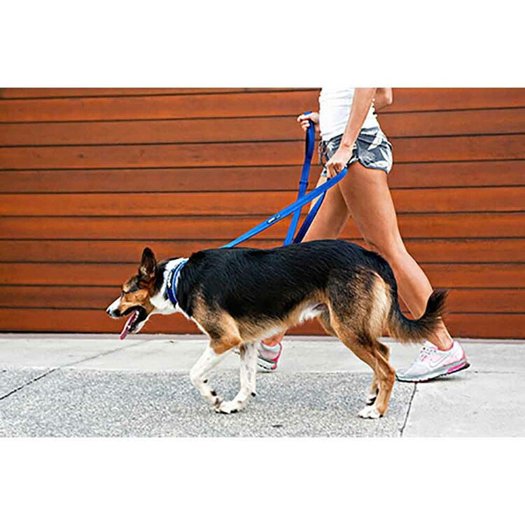 【人気商品】EZ リード ヴァリオ4 EZYDOG