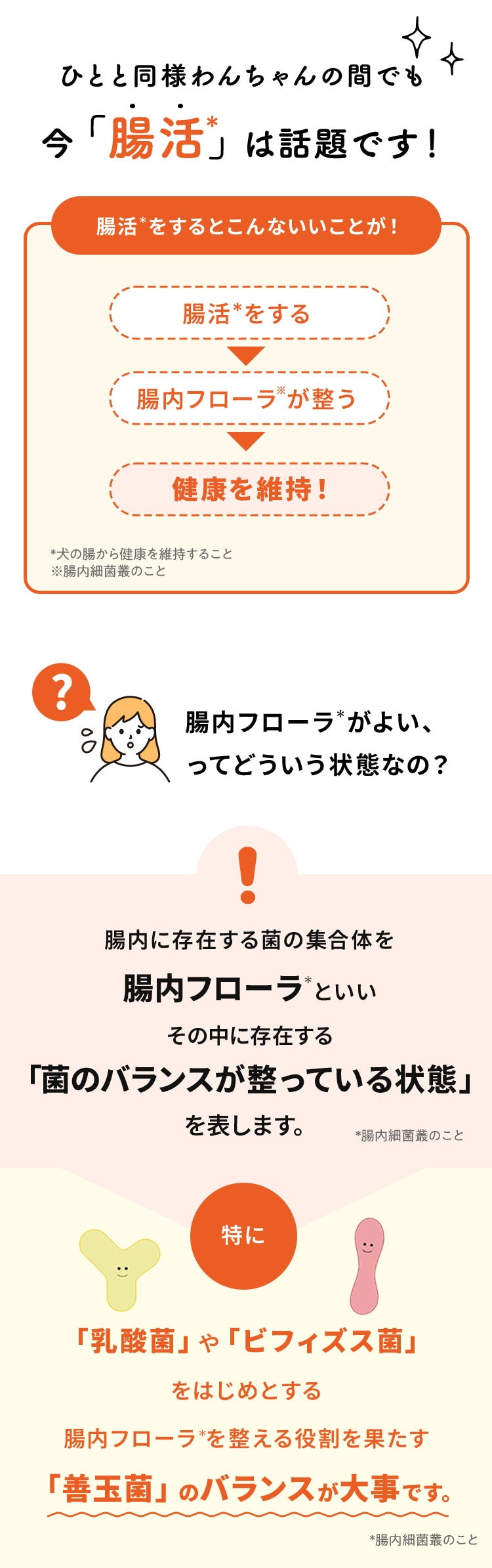 <a href="https://www.qoo10.jp/gmkt.inc/Search/brand.aspx?brandno=62316" target="_blank" class="title_brand" id="btn_brand" title="大正製薬">大正製薬</a>【公式】大正製薬 わんビオフェルミンS 40g 6袋 犬 サプリ サプリメント 腸活 免疫力 健康維持 ビフィズス菌 乳酸菌 犬サプリ イヌ 犬用 ペット 腸活サプリ 無添加 ふりかけ 粉 腸内環境