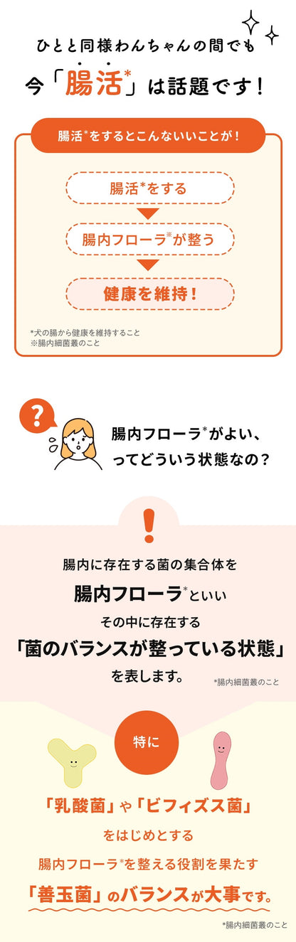 <a href="https://www.qoo10.jp/gmkt.inc/Search/brand.aspx?brandno=62316" target="_blank" class="title_brand" id="btn_brand" title="大正製薬">大正製薬</a>【公式】大正製薬 わんビオフェルミンS 40g 6袋 犬 サプリ サプリメント 腸活 免疫力 健康維持 ビフィズス菌 乳酸菌 犬サプリ イヌ 犬用 ペット 腸活サプリ 無添加 ふりかけ 粉 腸内環境