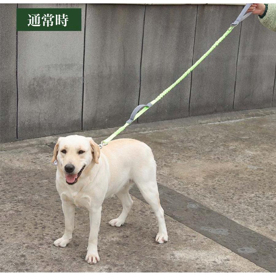 ロングリード のびるリード リード 小型犬 大型犬 犬用 リード 伸縮リード ハンドル付き 犬 犬のリード トレーニング 中型犬