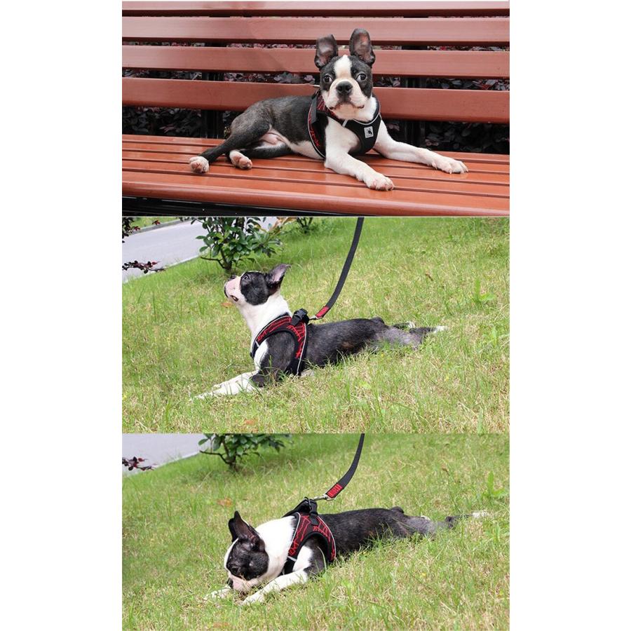 ハーネス ドッグ ウェアハーネス ペット キャット 引っ張っても痛くない 胴輪 服 犬
