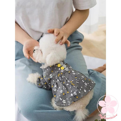 品質いいな新品 犬服 夏服 春夏 春 春服 夏 犬の服 ペット 猫 犬用品 犬用 ドッグウェア シャツ女の子可愛いかわいいオシャレ
