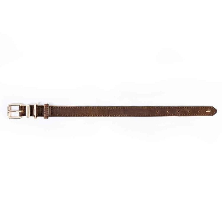 【人気商品】EZ レザーカラー XL