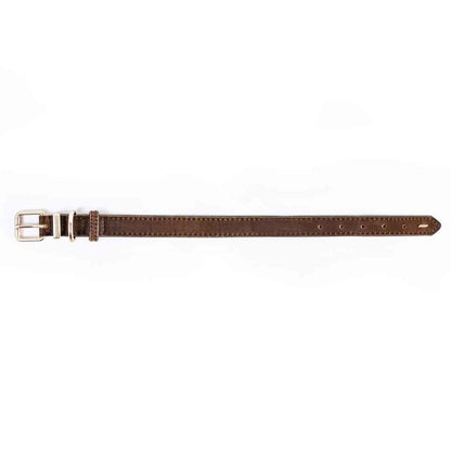 【人気商品】EZ レザーカラー XL