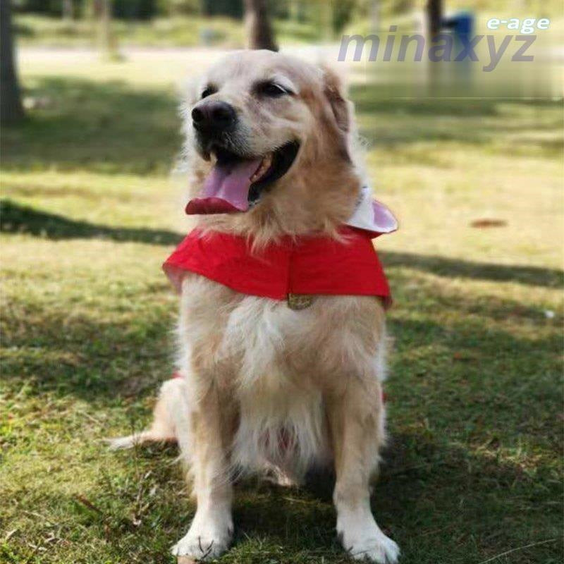 ドッグウェア レインコート カッパ 犬の服 雨具 パーカー フード 反射テープ 大型犬 中型犬 ブルー レッド イー ペット用品 お出掛け 雨の日