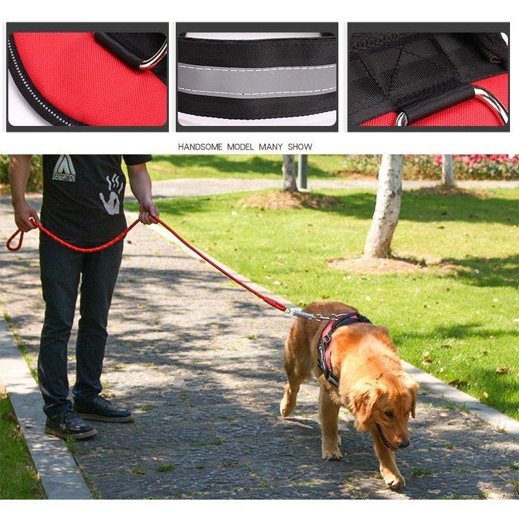 ハーネスリード胴輪首輪犬用中型犬スプリングペット8の字ハーネス通気性リードハーネスセットドッグランお散歩脱着簡単衝撃吸収外出