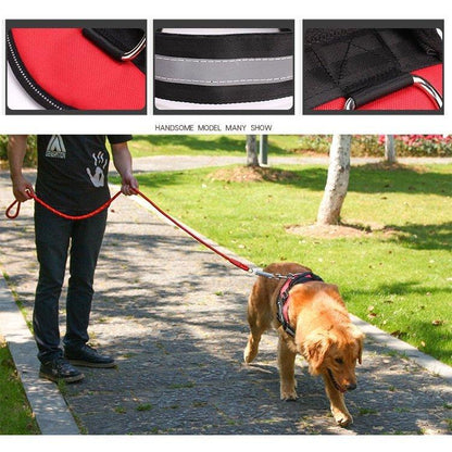 ハーネスリード胴輪首輪犬用中型犬スプリングペット8の字ハーネス通気性リードハーネスセットドッグランお散歩脱着簡単衝撃吸収外出