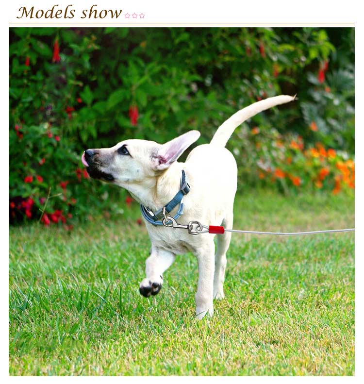 【早い者勝ちタイムセール】切れないリード ステンレス 大型犬 チューブ 犬用リード 錆びにくく リード 中型犬 犬の散歩 ワイヤー入り 切れないリード ワイヤーリード ドッグリード ロングリード 3M