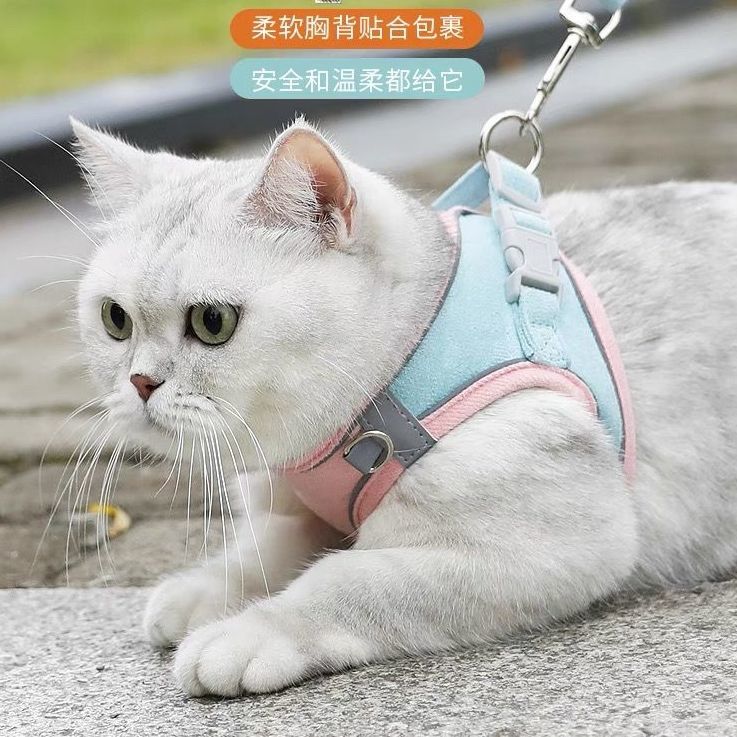 超目玉新品良いレビューハーネス小型犬抜けないおしゃれハーネスリードセット猫ハーネスリードセット小型犬ペット用品マジックテープ夜間反射犬リードハーネスセット