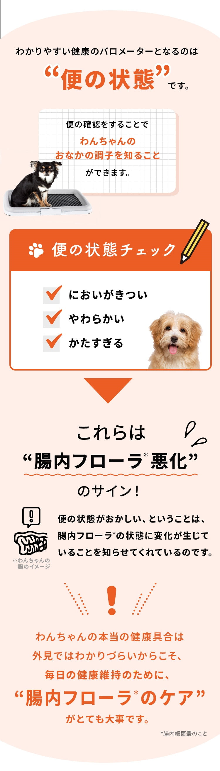 <a href="https://www.qoo10.jp/gmkt.inc/Search/brand.aspx?brandno=62316" target="_blank" class="title_brand" id="btn_brand" title="大正製薬">大正製薬</a>【公式】大正製薬 わんビオフェルミンS 40g 犬 サプリ サプリメント 腸活 免疫力 健康維持 ビフィズス菌 乳酸菌 犬サプリ イヌ 犬用 ペット 腸活サプリ 無添加 ふりかけ 粉 腸内環境