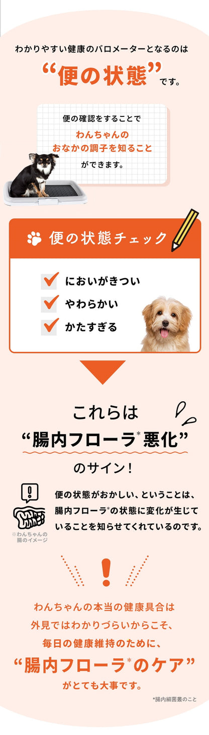 <a href="https://www.qoo10.jp/gmkt.inc/Search/brand.aspx?brandno=62316" target="_blank" class="title_brand" id="btn_brand" title="大正製薬">大正製薬</a>【公式】大正製薬 わんビオフェルミンS 40g 犬 サプリ サプリメント 腸活 免疫力 健康維持 ビフィズス菌 乳酸菌 犬サプリ イヌ 犬用 ペット 腸活サプリ 無添加 ふりかけ 粉 腸内環境