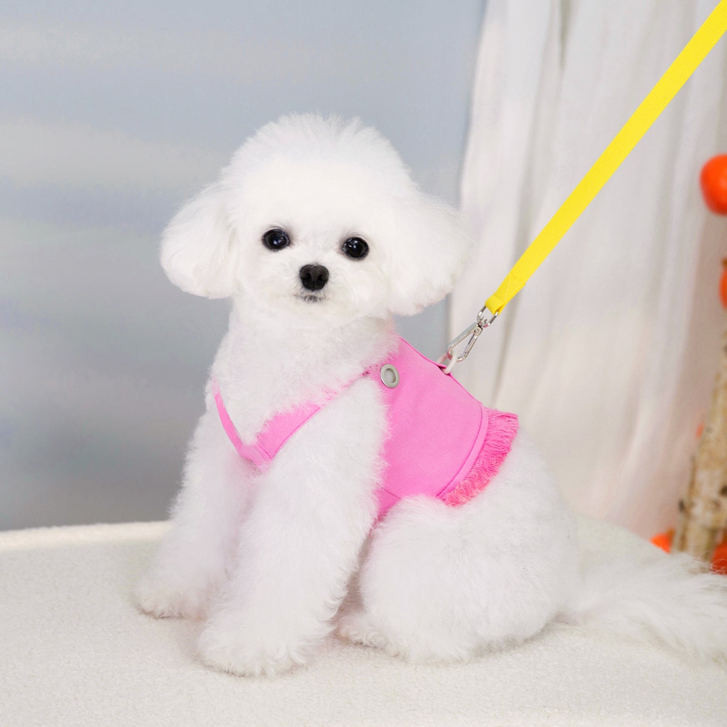 猫 犬 洋服 犬服 ペット服 大中小型犬 ペット用品 犬/猫用 犬の服 ペットウエア 小型犬 中型犬 通気 可愛い ドッグウェア トレーナー 犬 服 ワンピース サロペット ビションフリーゼ 犬猫服