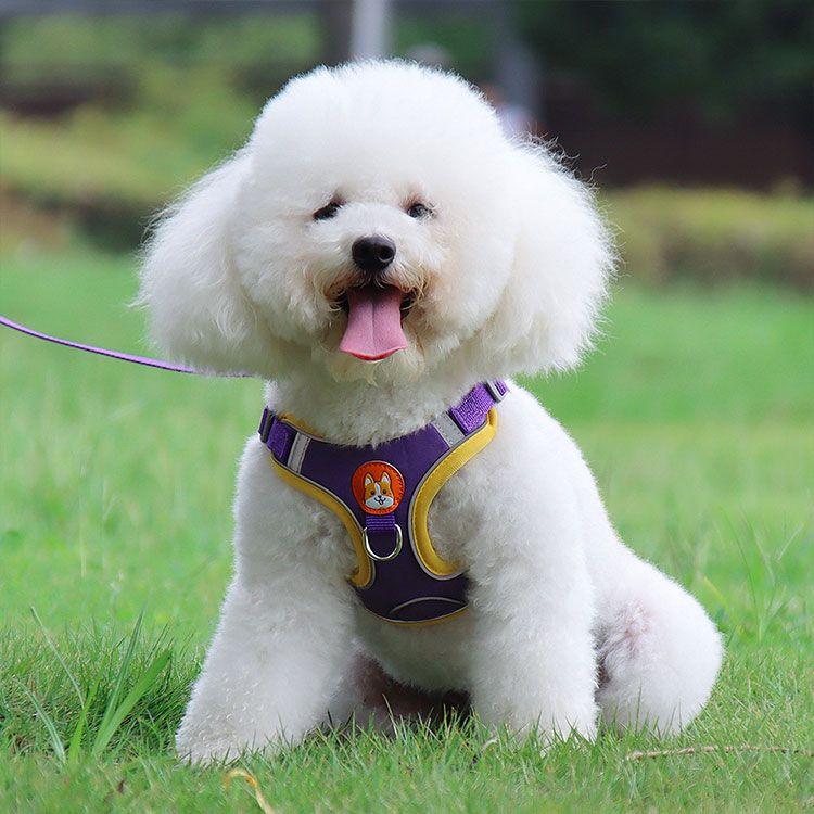 新商品プロモーション，数量限定 犬用 ハーネス 小型犬用 ハーネス リード ２点セット ペット用品 小型犬 全６色 S M L XL リード長さ約15ｍ ハーネス　胴輪　簡単着犬用 ハーネス