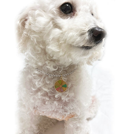 オーダーメイド 首輪 犬 おしゃれ 中型犬 小型犬 本革 かわいい 犬首輪 犬の首輪　猫用首輪