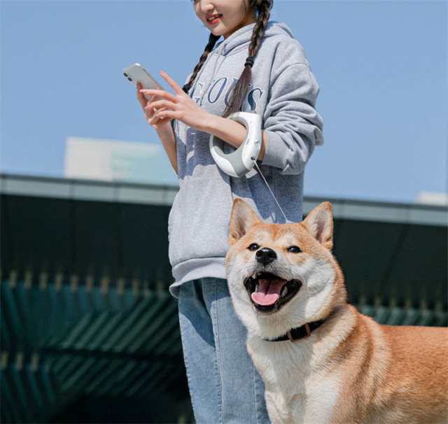 リード 犬用リード 軽量 長い 3m ライト付き 充電式 typeC 便利 小型犬 中型犬 夜間 光る