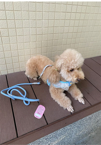 犬の牽引紐レースの胸の帯のテディ比熊の小型犬の牽引犬の縄は犬のひもの犬のチェーンを散歩します