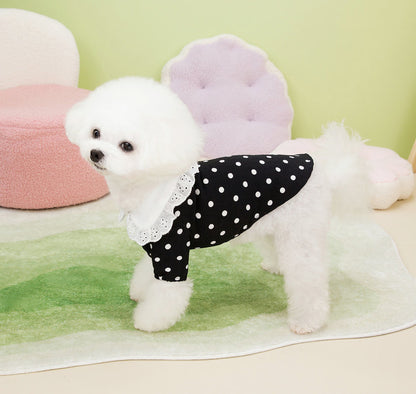 [犬 服]犬 洋服 ins人気商品 新作犬服春夏薄手Tシャツ小型犬ペットTシャツ二本足服