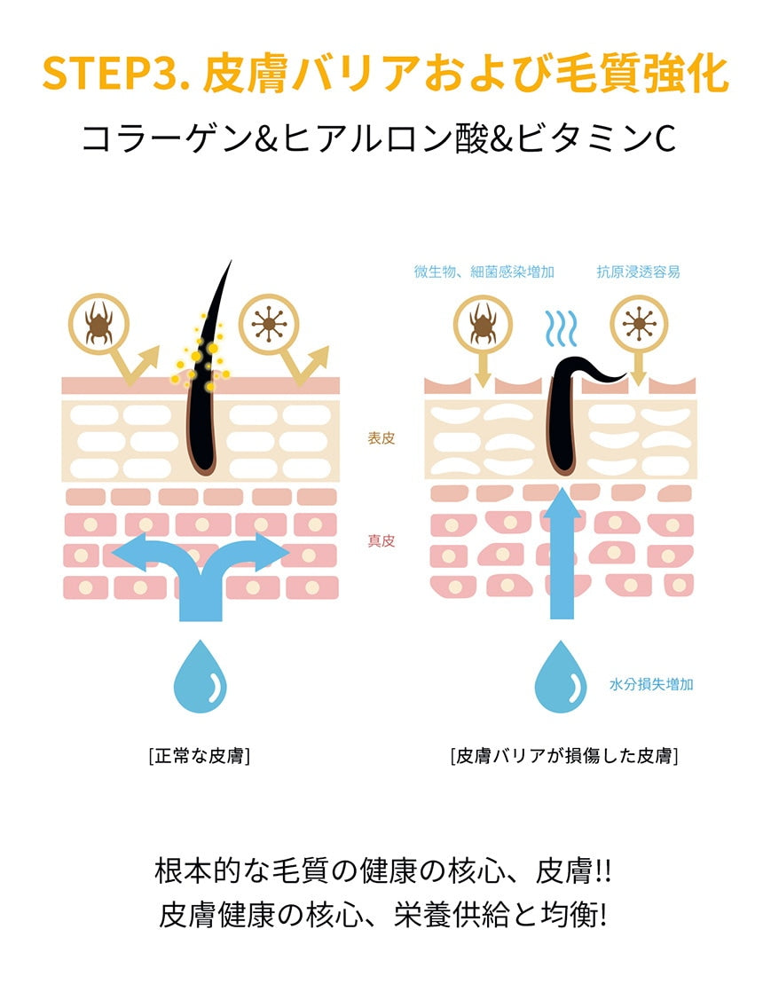 <a href="https://www.qoo10.jp/gmkt.inc/Search/brand.aspx?brandno=120824" target="_blank" class="title_brand" id="btn_brand" title="ドクターバイ">ドクターバイ</a>[公式] スキン＆コート 犬 皮膚 サプリメント 毛 保湿 皮膚炎 痒み止め 指間炎 日本特許成分「AF-343」 30本 (240g)