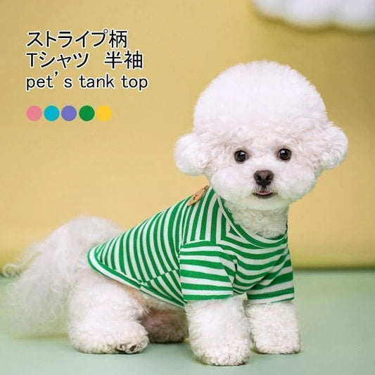 ペット服 Tシャツ 犬用 半袖 クマ ストライプ柄 配色 軽量 通気性 柔らかい 可愛い 新品 大人気 着せやすい 抜け毛対策 汚れ防止 冷え対策 春夏