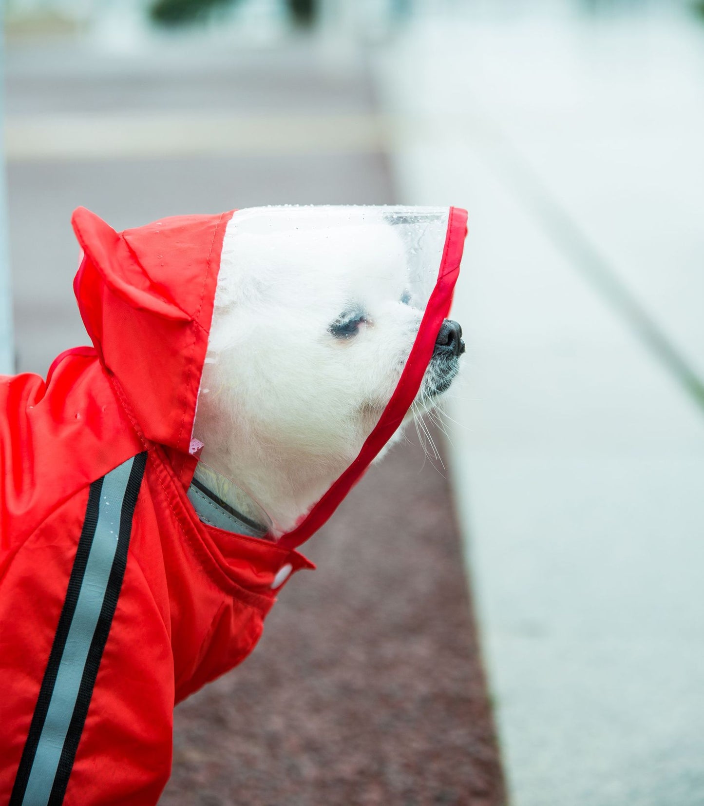 ペット服 犬 レインコート 防水 ポンチョ ペット 雨の日 服