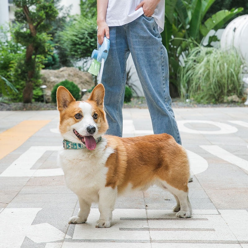 犬 リード ハーネス 紐 散歩紐 犬用デニムハーネス＆リード けん引ロープ ペット用品 s12