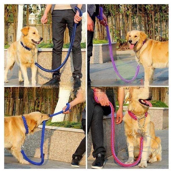 リードと首輪セット 首輪セット リードセット 首輪 小型犬 中型犬 大型犬 犬 首輪 犬用 リード 散歩 お出かけ ドック用品 リード長さ1.2メートル