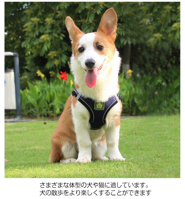 胴輪 犬用 抜けない 犬具 しっかりロック 小型犬 簡単装着 散 犬 中型犬 ドッグ イヌ メッシュ いぬ M 負担が少な 抜けにくい 犬ハーネスリードセット かわいい おしゃれ お出かけ