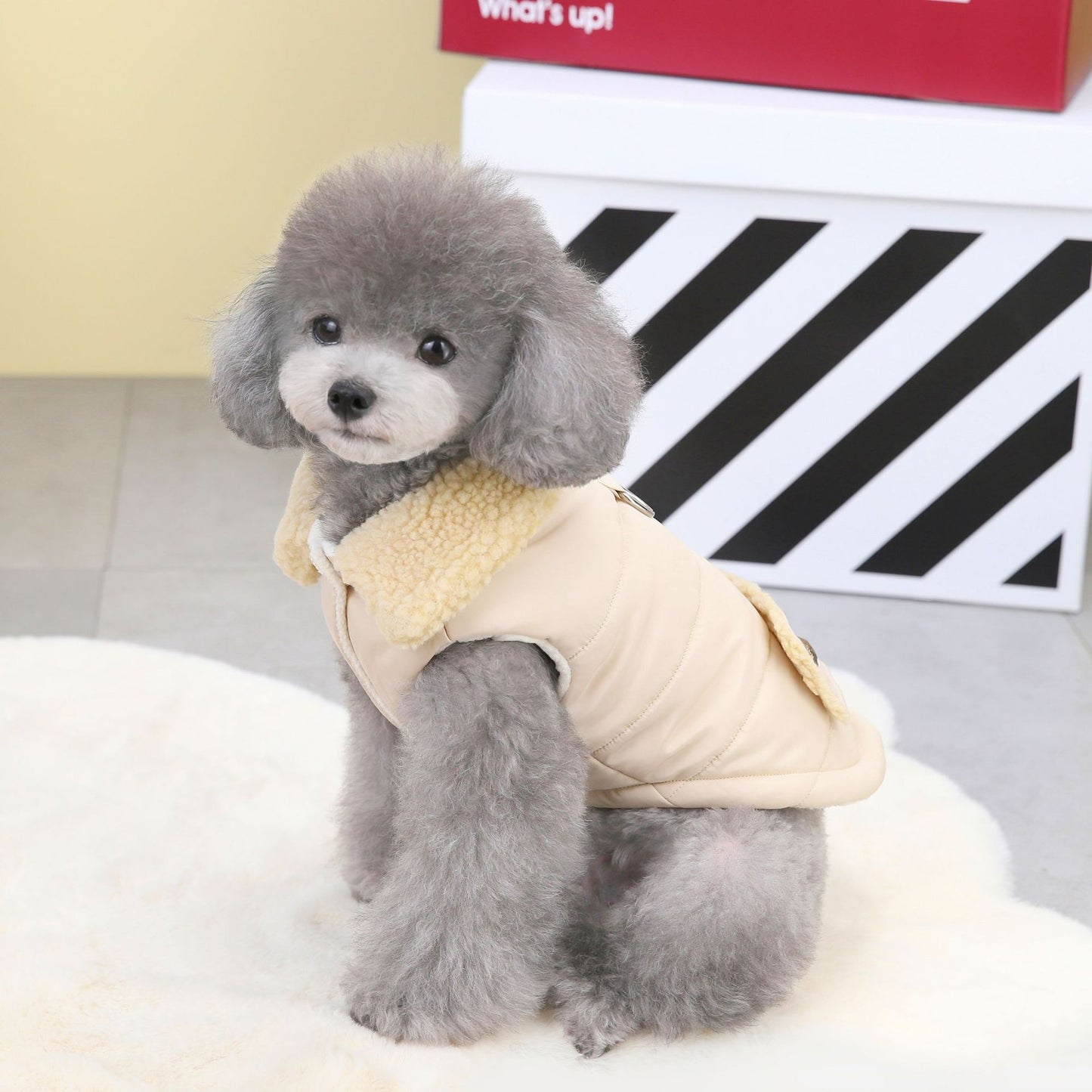 猫 犬 洋服 犬服 ペット服 大中小型犬 ペット用品 犬/猫用 犬の服 ペットウエア 小型犬 中型犬 通気 可愛い ドッグウェア トレーナー 犬 服 ワンピース サロペット ビションフリーゼ 犬猫服
