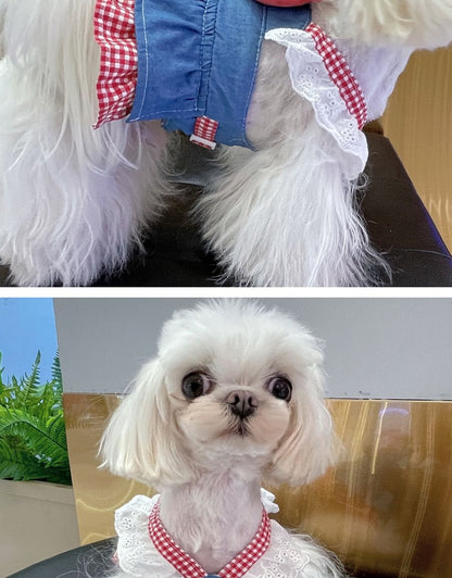 春夏新作 犬服 ペット服 犬 洋服 ペット 犬用品 小中型犬 ペットの犬の服 ワンピース 小型犬 夏 薄い部分 リード付き