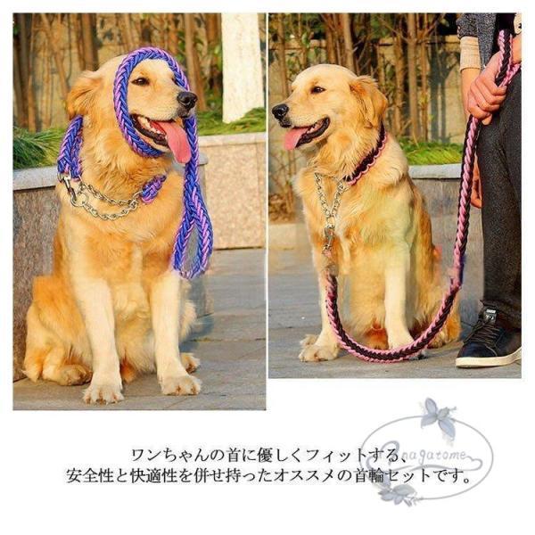 リードと首輪セット 首輪セット リードセット 首輪 小型犬 中型犬 大型犬 犬 首輪 犬用 リード 散歩 お出かけ ドック用品 リード長さ1.2メートル