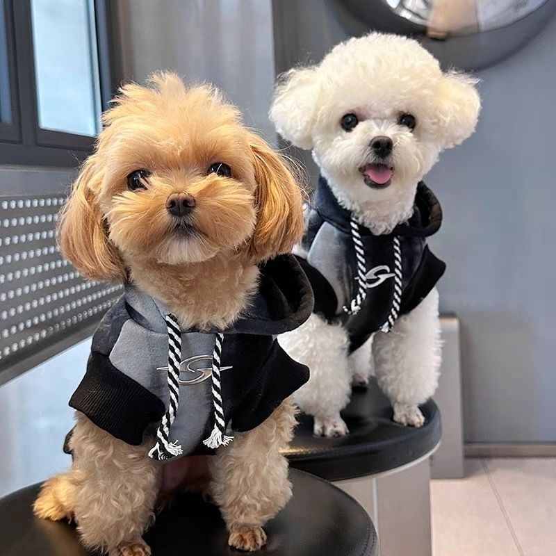 春夏用 グラデーションパーカー 犬用クールウェア マルチーズ トイプードル 犬 服 犬 服 犬服 犬の服 ペット用品 ハーネス 小型犬