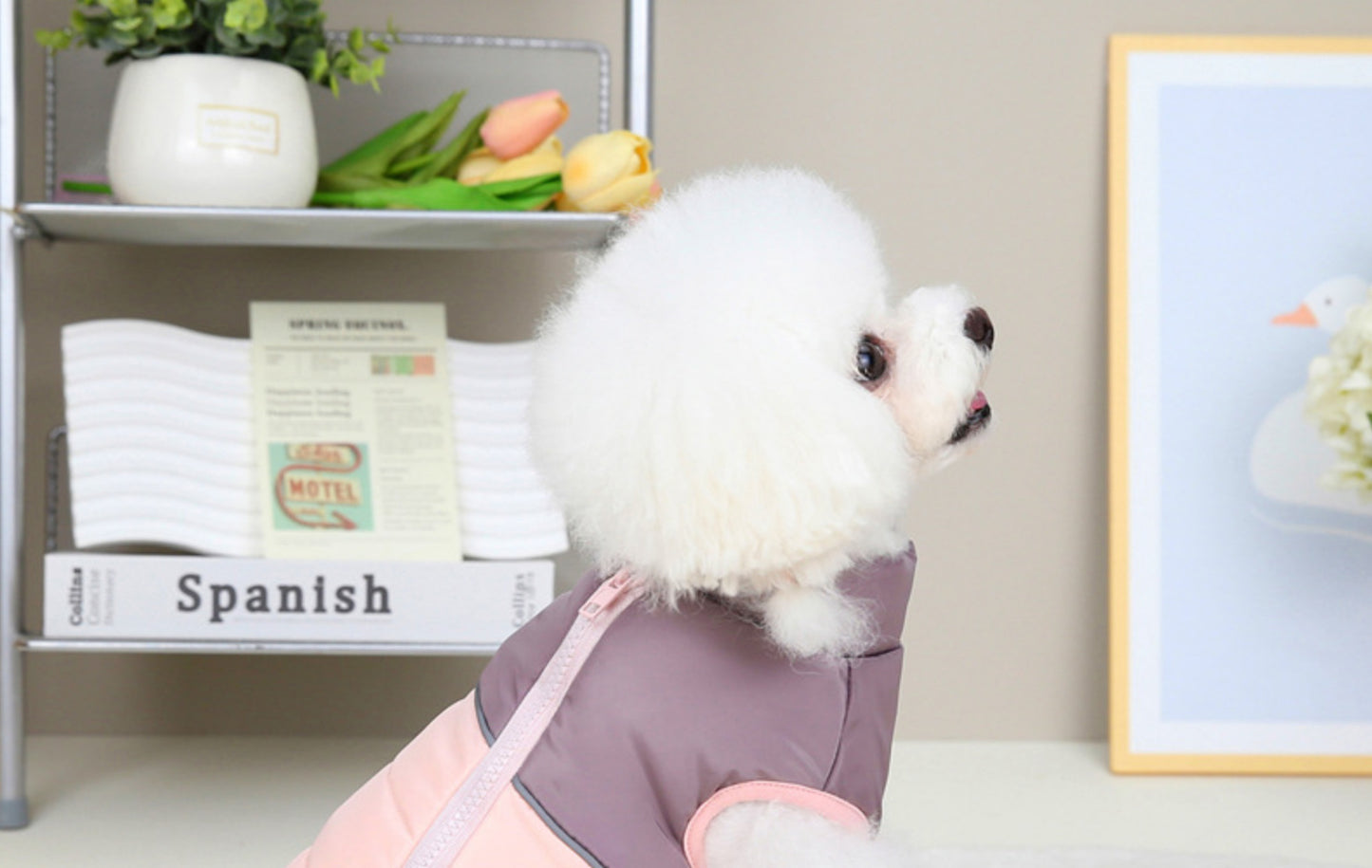猫 犬 洋服 犬服 ペット服 大中小型犬 ペット用品 犬/猫用 犬の服 ペットウエア 小型犬 中型犬 通気 可愛い ドッグウェア トレーナー 犬 服 ワンピース サロペット ビションフリーゼ 犬猫服