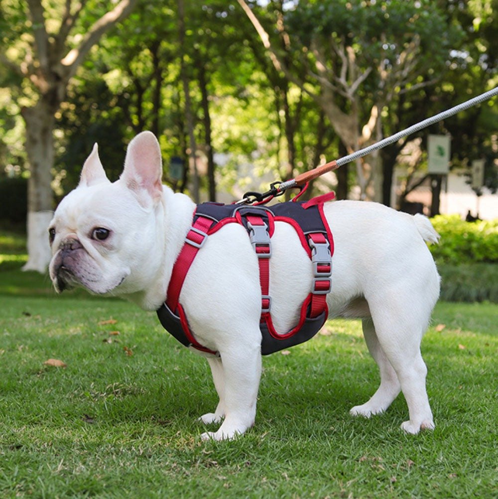 ウェアハーネス 散歩 ハンドル付き 中型犬 負担の少ない おしゃれ L 柴犬 M 通院 S ハーネス 犬 抜けにくい 抜けない 犬用 介護用 小型犬 外出 かわいい