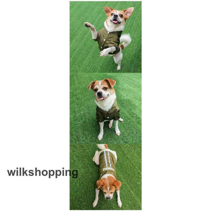 犬用 レインコート 小型犬 中型犬 フード付 犬 犬服 レインポンチョ レインウェア 犬用カッパ 犬のレインコート 防水 雨具 ペット服 大きいサイズ 雨の日 お散歩
