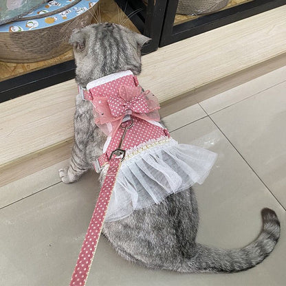 韓国の刺繍ペットのリュックサックのテディは熊より縄を引っ張ります