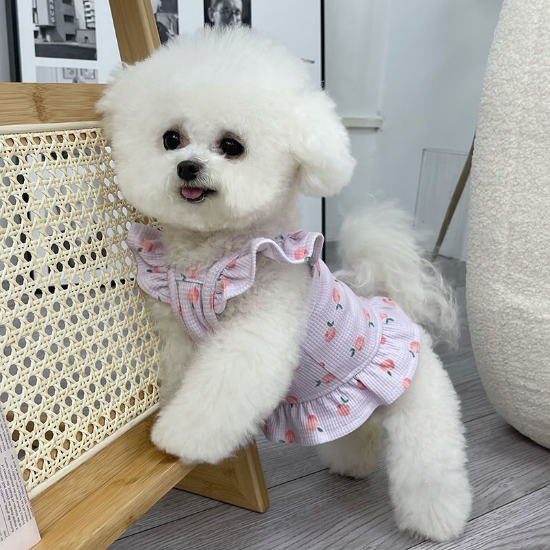 【新作犬猫服 登場】 犬服 ペット服 犬 洋服 ペット服春夏新作フライスリーブショートスカート子犬犬薄型ユニバーサルベスト