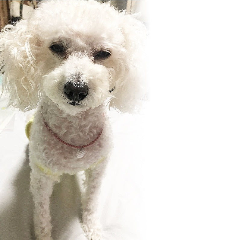 ハンドメイドオーダーメイド商品犬 首輪 おしゃれ 中型犬 小型犬 本革 かわいい 犬首輪 犬の首輪