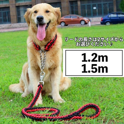 首輪 リード 2点セット 犬用 ペット用 ハーフチョーク リーシュ 1.2m 1.5m チェーン 牽引綱 シンプル お散歩 お出掛け ペット用品 ペッ