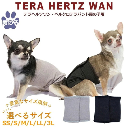 <a href="https://www.qoo10.jp/gmkt.inc/Search/brand.aspx?brandno=125763" target="_blank" class="title_brand" id="btn_brand" title="Coo Couture">Coo Couture</a>テラヘルツワンベルクロテラバンド男の子用ペット介護用品 犬用 腹巻 小型犬 シニア犬 犬服 テラヘルツワン 日本製 メール便1点まで 1メ-2運 7220 【T】