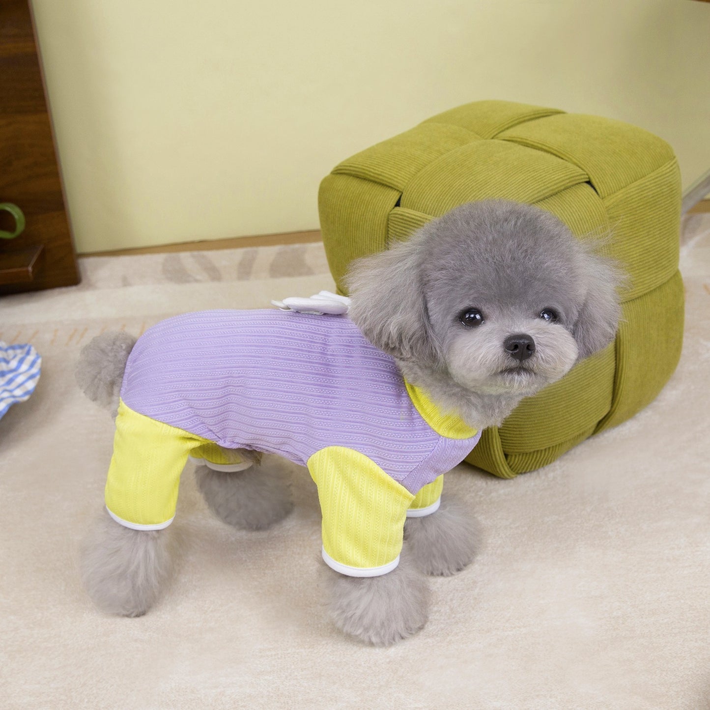 猫 犬 洋服 犬服 ペット服 大中小型犬 ペット用品 犬/猫用 犬の服 ペットウエア 小型犬 中型犬 通気 可愛い ドッグウェア トレーナー 犬 服 ワンピース サロペット ビションフリーゼ 犬猫服
