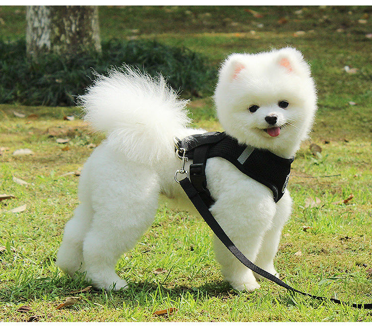 犬 ハーネス 犬用 リード いぬ ウェアハーネス 胴輪 ネコ ペット リード ドック メッシュ 外れ