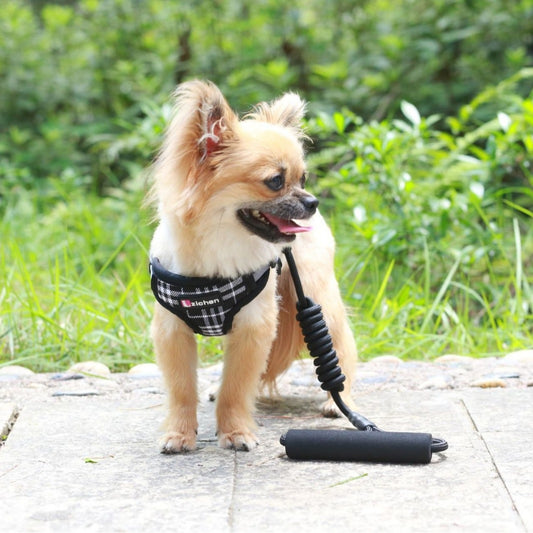 簡単装着 小型犬 胴輪 130 ペットハーネス 犬用ハーネス ハーネスリードセット おしゃれ リード 中型犬 お出かけ 犬用 猫用 シンプル 犬 ペット用品 軽量 リーシュ ネコ用ハーネス ハーネス