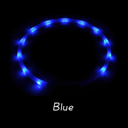 光る首輪 光る 充電式 散歩 首輪 LED おしゃれ 犬 夜 ペット レインボー 猫 USB ライト