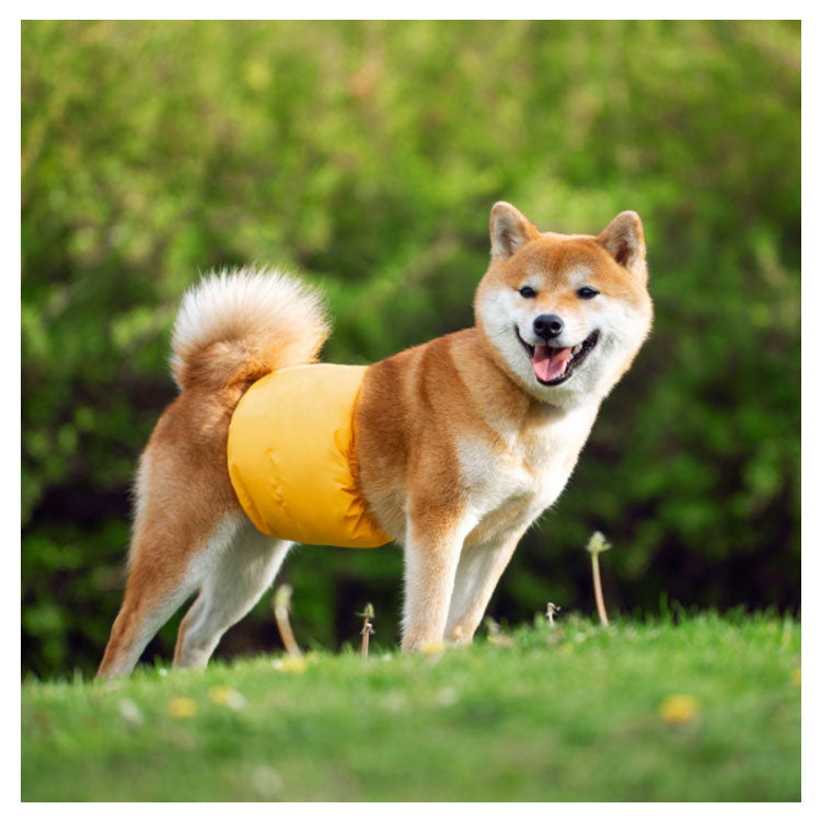 沸騰新柄追加 犬用 マナーベルト 男の子 おむつカバー いぬ用 トイレ用品 マナーバンド 生理用 犬服 マーキング防止 尿もれ オシッコ対策 しつけ ドッグウェア ズレ防止 小型犬 中型犬 大型犬 ペ